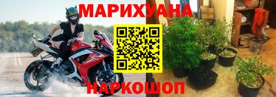 Альфа ПВП Лесосибирск