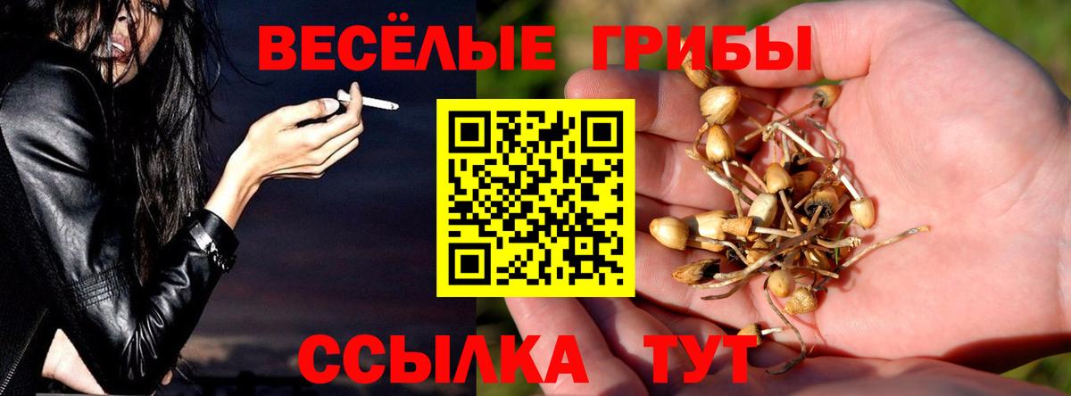 Псилоцибиновые грибы прущие грибы Шатура